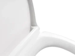 Toiletbræt PAPURI Soft close Duroplast Hvid