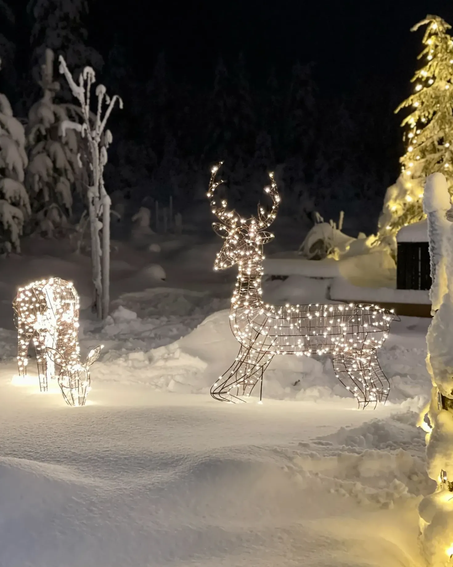 Udendørs dekoration LED MAHLATTI Rensdyr 128 cm Sort