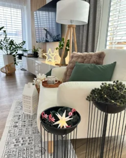 Udendørs dekoration LED SIMO Stjerne 31 cm Hvid