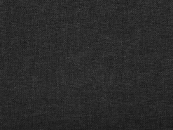 Udtræksseng LIBOURNE 80 x 200 cm Mørkegrå