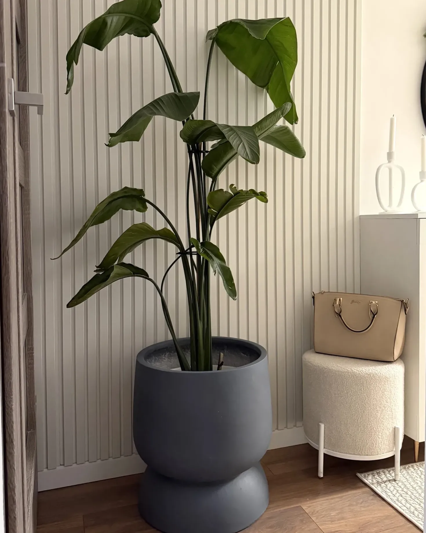 Urtepotte ARAUCARIA 42 cm Grå
