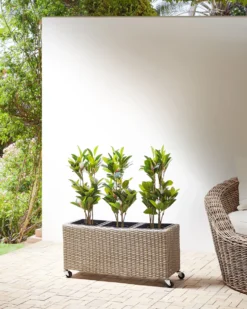 Urtepotte BELLIS 82 cm Lysebrun PE-rattan