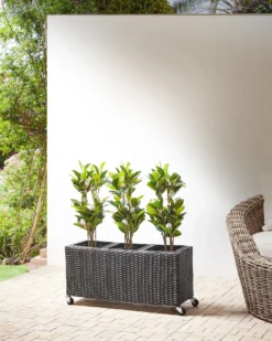 Urtepotte BELLIS 82 cm Sort PE-rattan