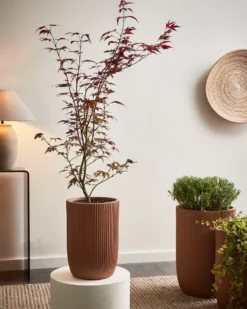 Urtepotte EANTIO 25 cm Brun