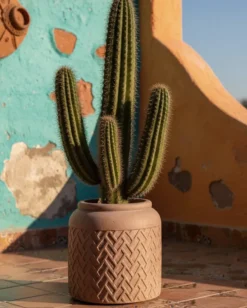Urtepotte GERAKAS 35 cm Beige