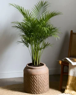 Urtepotte GERAKAS 35 cm Beige