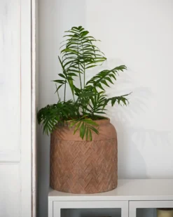 Urtepotte GERAKAS 35 cm Beige