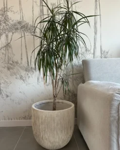 Urtepotte HANYUE 42 cm Lys Beige