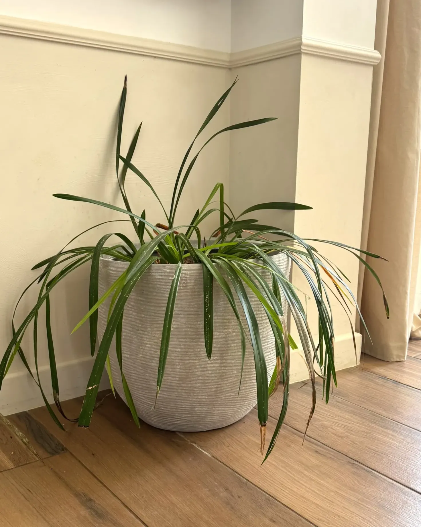 Urtepotte LIXOURI 47 cm Lysegrå