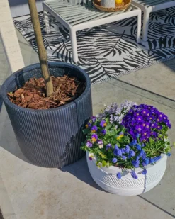 Urtepotte OREOI 45 cm Grafit