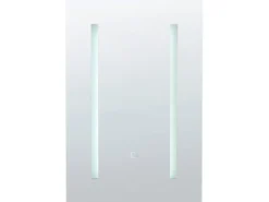 Vægmonteret spejlskab til badeværelset LED CAMERON 40 cm 60 cm Sort